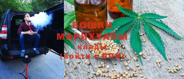 2c-b Горняк