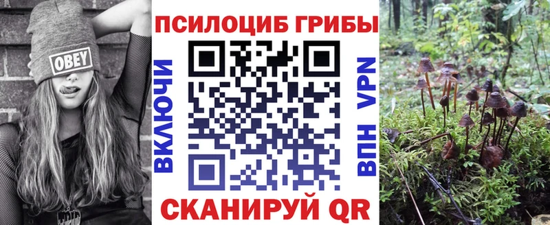 Галлюциногенные грибы ЛСД  Чулым 